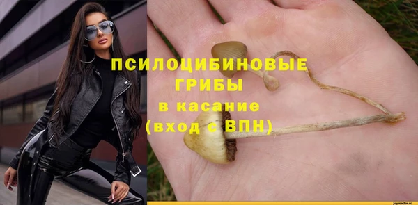 бутират Богородицк