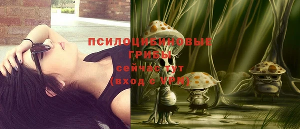 Альфа ПВП Богданович